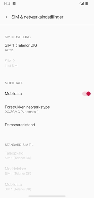 Vælg Foretrukken netværkstype