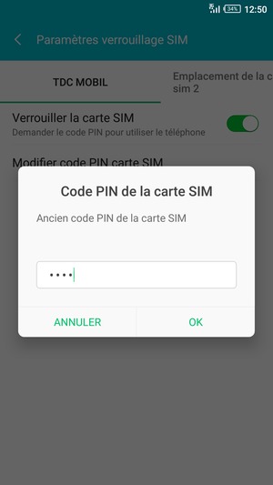 Saisissez votre Ancien code PIN de la carte SIM et sélectionnez OK