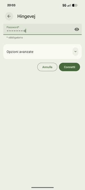 Inserisci la password del Wi-Fi e seleziona Connetti