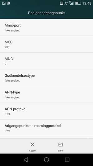 Scroll ned og indtast internet-oplysninger