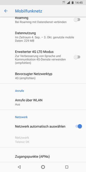 Scrollen Sie und wählen Sie Zugangspunkte (APNs)