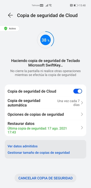Espere a que la copia de seguridad termine