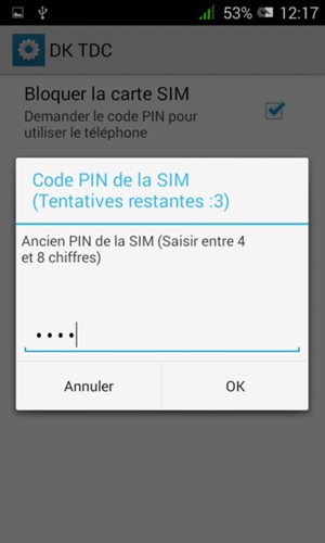 Saisissez votre Ancien PIN de la SIM et sélectionnez OK