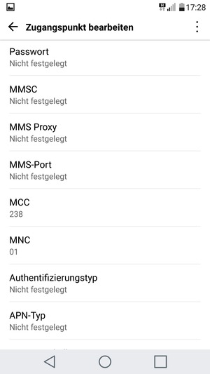 Scrollen Sie nach unten und geben Sie Ihre Internetinformationen ein