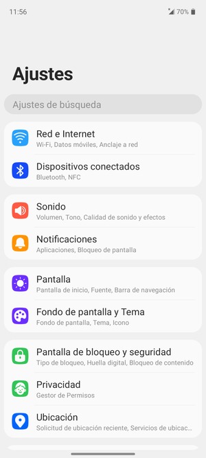 Seleccione Red e Internet