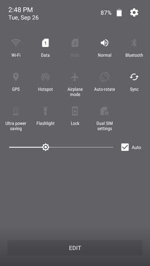 Check the Auto checkbox