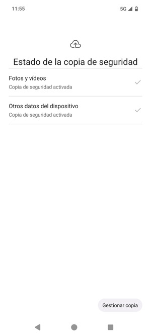 Seleccione Gestionar copias