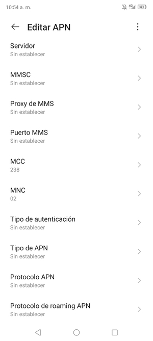 Desplácese hacia abajo e introduzca la información de Internet