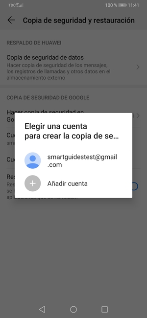 Seleccione su cuenta de copia de seguridad