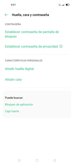 Seleccione Establecer contraseña de pantalla de bloqueo