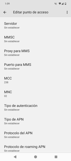 Desplácese hacia abajo e introduzca la información de Internet