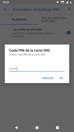 Saisissez votre Ancien code PIN de la carte SIM et sélectionnez OK