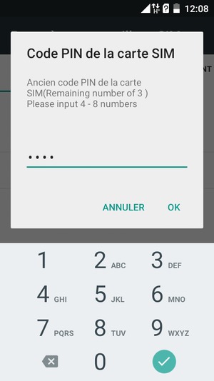 Saisissez votre Ancien code PIN de la carte SIM et sélectionnez OK