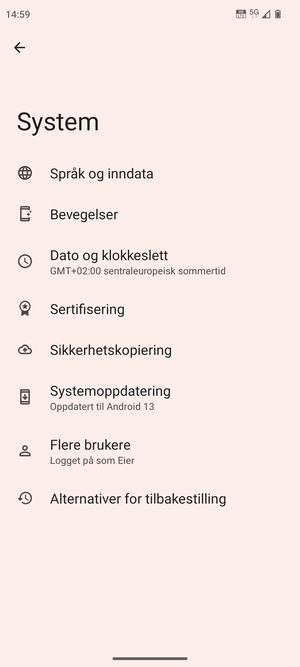 Velg Systemoppdatering
