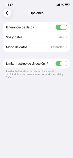 Activar o desactivar Itinerancia de datos