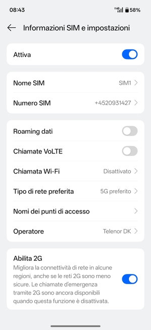 Seleziona Tipo di rete preferita