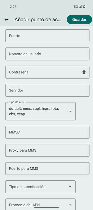 Desplácese y seleccione Tipo de APN