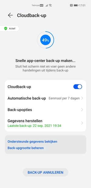 Wacht tot de back-up beëindigd is