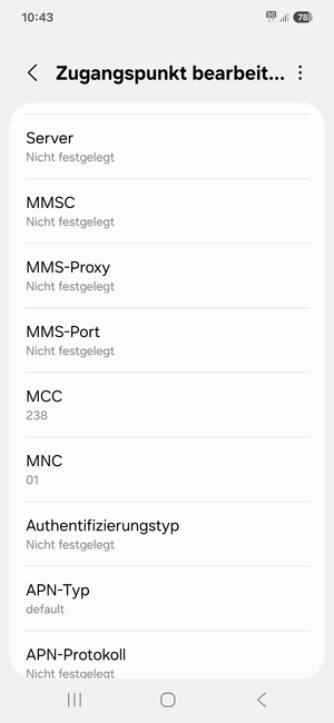 Scrollen Sie nach unten und geben Sie Internetinformationen ein