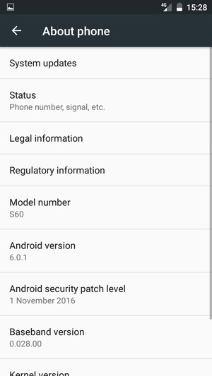 Select System updates