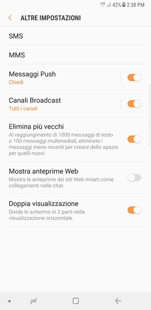 Seleziona SMS