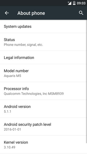 Select System updates