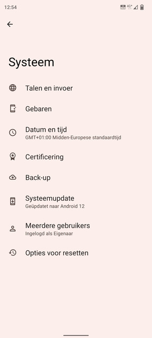 Selecteer Systeemupdate