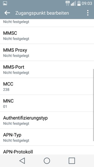 Scrollen Sie nach unten und geben Sie Ihre Internetinformationen ein