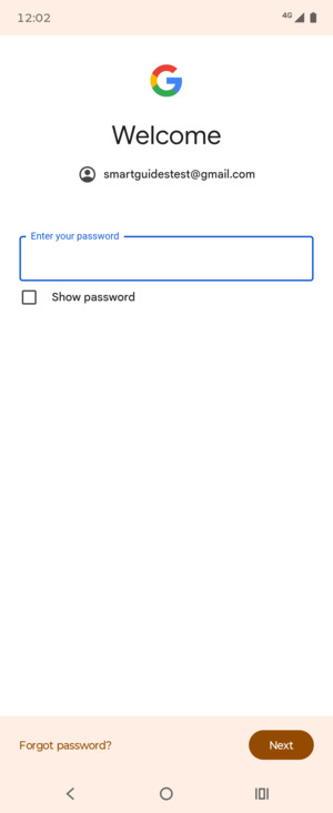 Enter your password and select Next