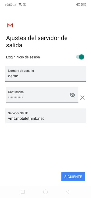 Introduzca la dirección de servidor saliente