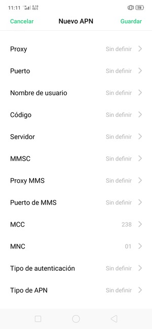 Desplácese hacia abajo e introduzca la información de Internet