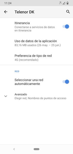 Activar o desactivar Itinerancia
