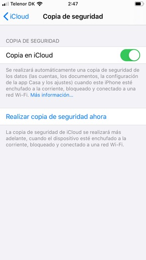 Seleccione Realizar copia de seguridad ahora