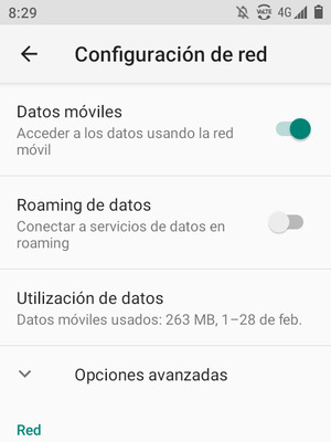 Seleccione Opciones avanzadas