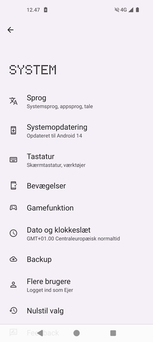 Vælg Systemopdatering