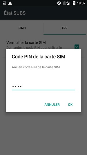 Saisissez votre Ancien code PIN de la carte SIM et sélectionnez OK