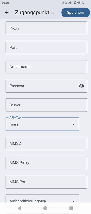 Scrollen Sie nach unten und geben Sie MMS-Informationen ein