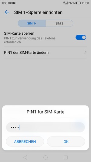 Geben Sie Ihre Alte PIN der SIM-Karte ein und wählen Sie OK