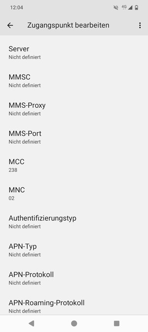 Scrollen Sie nach unten und geben Sie Internetinformationen ein