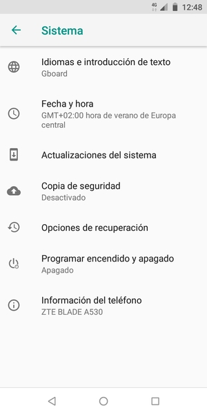Seleccione Actualizaciones del sistema