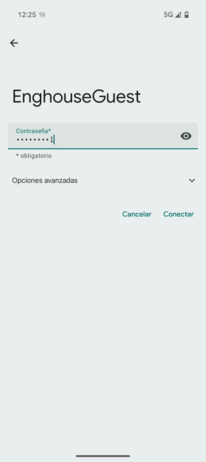 Introduzca la contraseña de Wi-Fi y seleccione Conectar