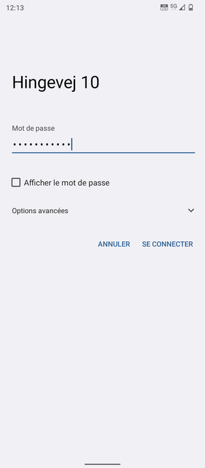Saisissez le mot de passe du Wi-Fi et sélectionnez SE CONNECTER