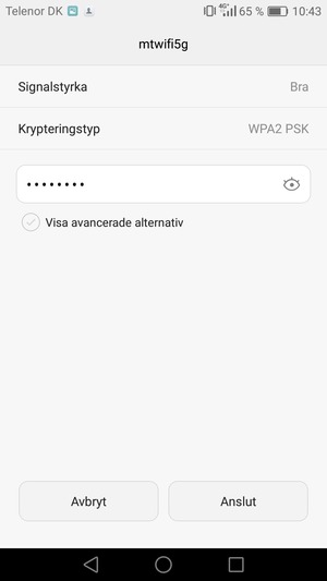 Ange lösenord till Wi-Fi och välj Anslut