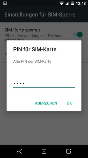 Geben Sie Ihre Alte PIN der SIM-Karte ein und wählen Sie OK