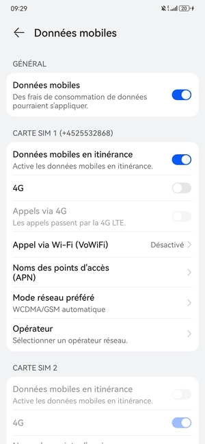 Activer ou désactiver Données mobiles en itinérance