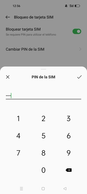 Introduzca su Nuevo PIN de la tarjeta SIM y seleccione Aceptar