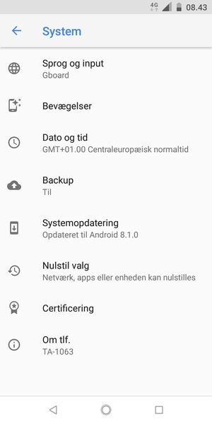 Vælg Systemopdatering
