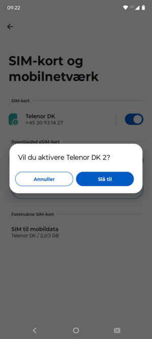 Vælg Slå til