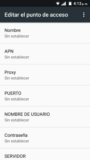 Introduzca la información de Internet