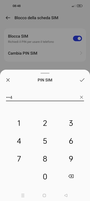 Inserisci PIN attuale per questa scheda SIM e seleziona OK
